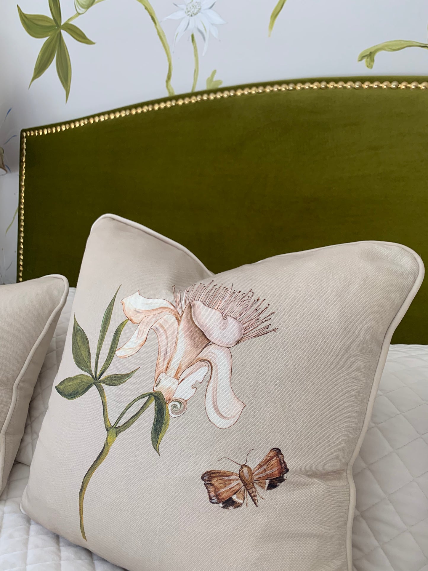 Boabab and Lily Moth Botanical