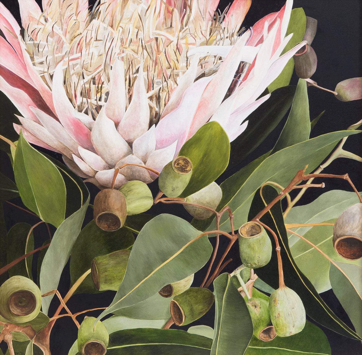 Protea and Gumnuts