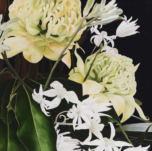 White Waratah and Flannel Flower