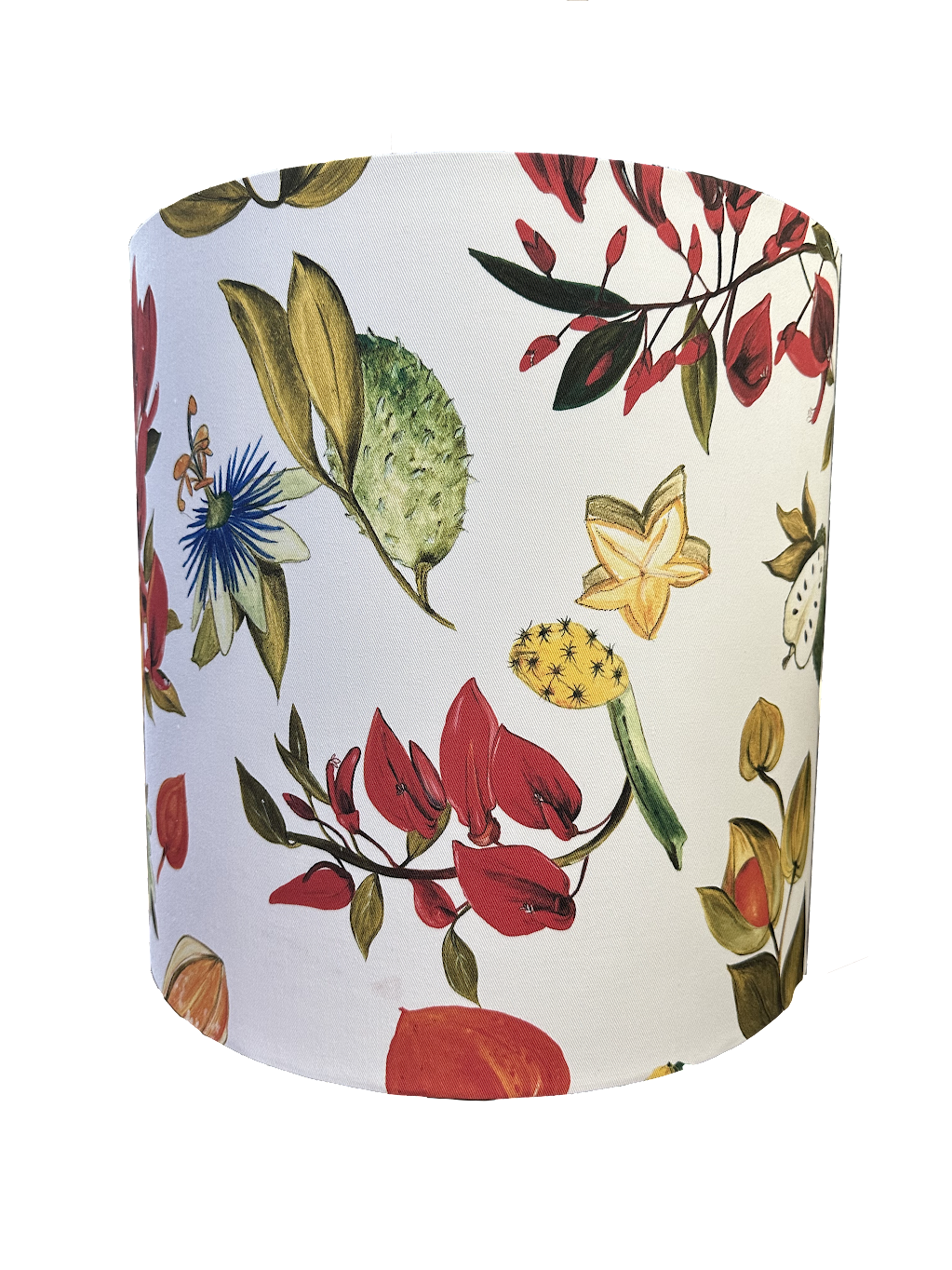 South America Lampshade Star Fruit Botanical