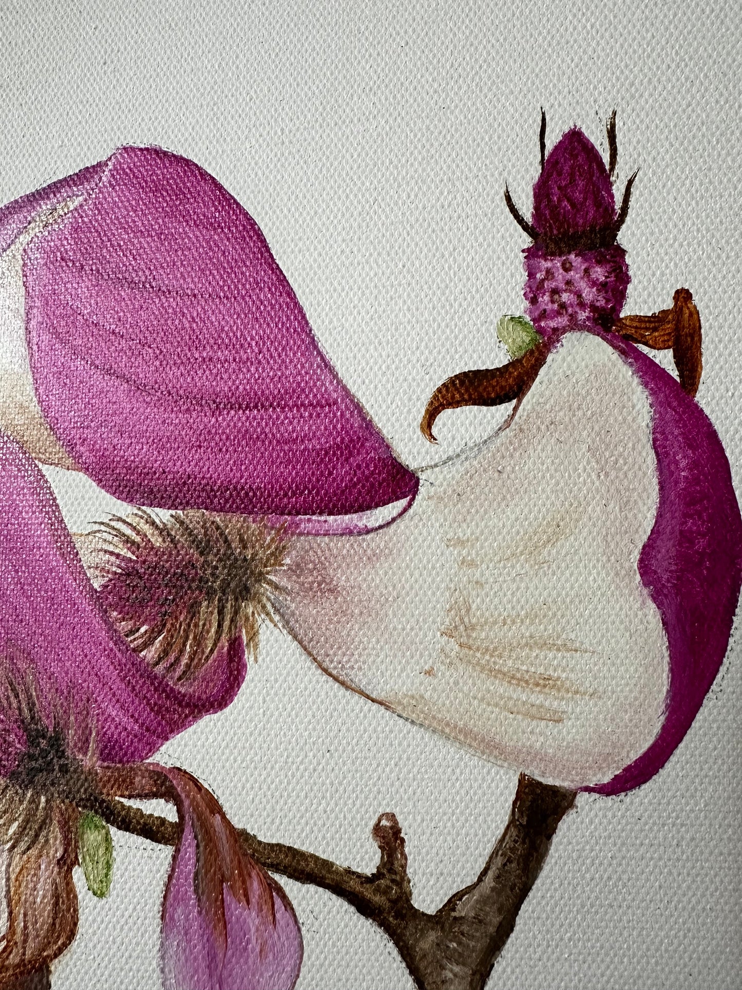 Wilted Pink Magnolia Painting