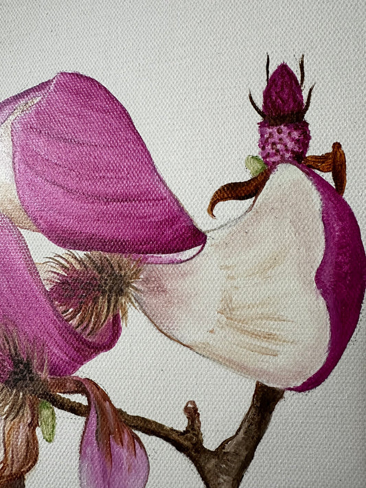 Wilted Pink Magnolia Painting