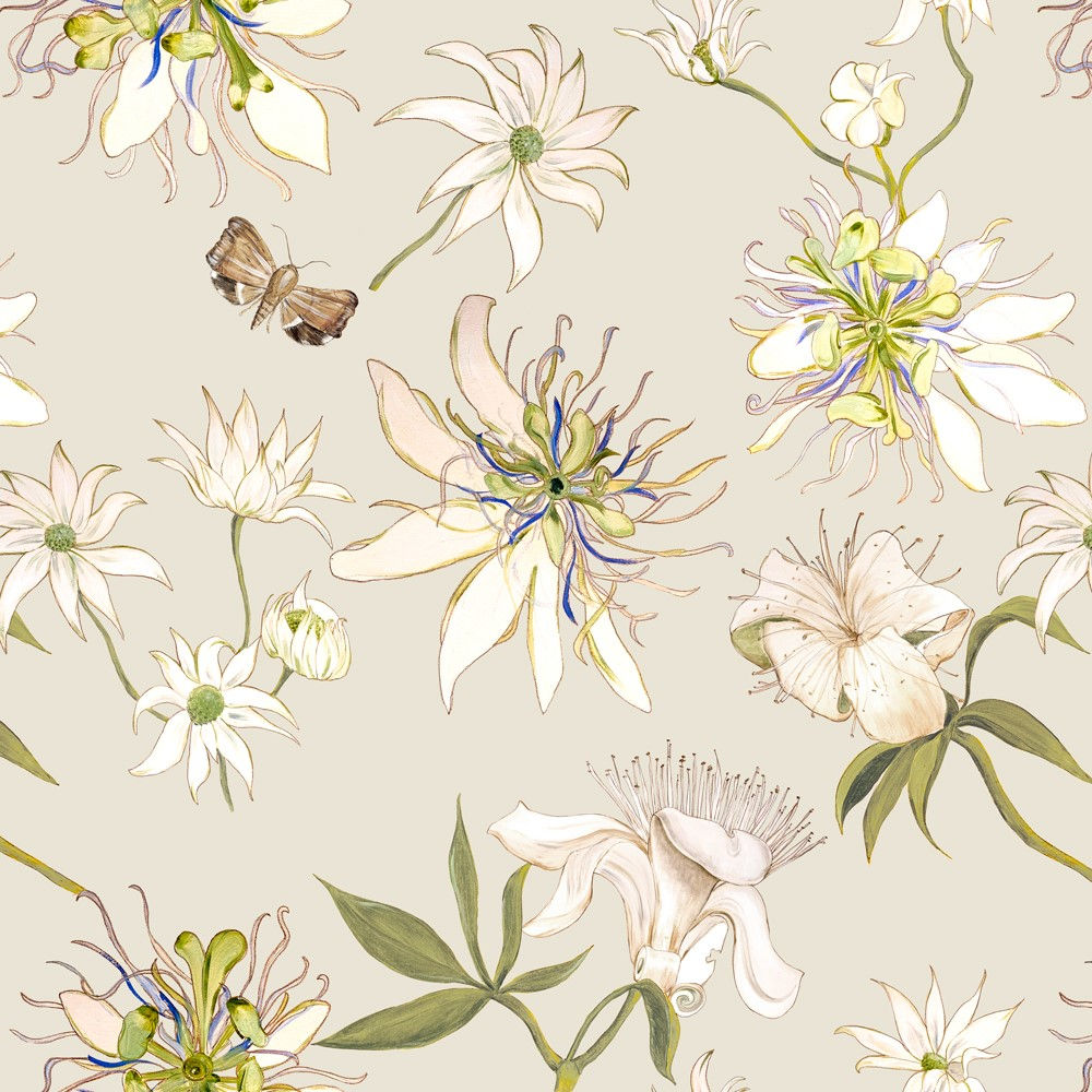 Boabab and Lily Moth Botanical