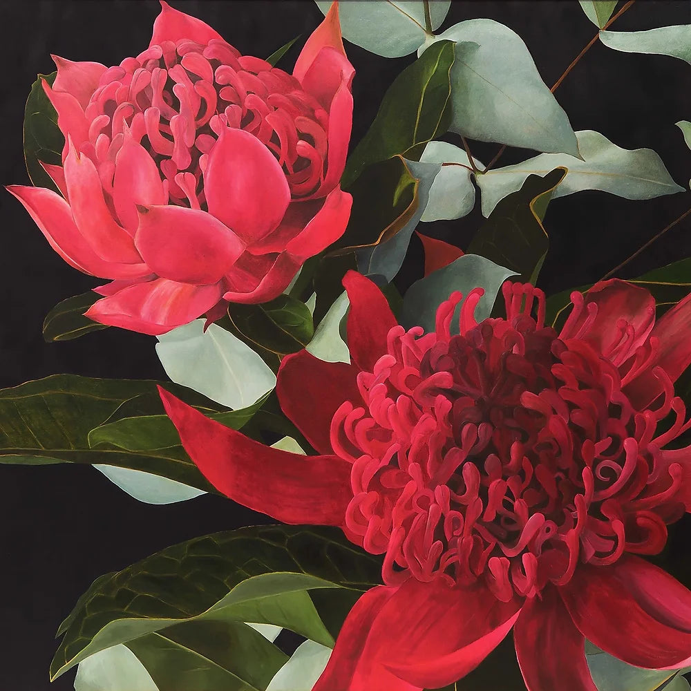 Red Waratah