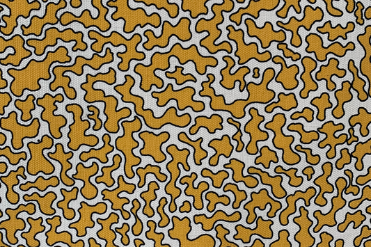 Antarctica Pearlwort Yellow and Whtie