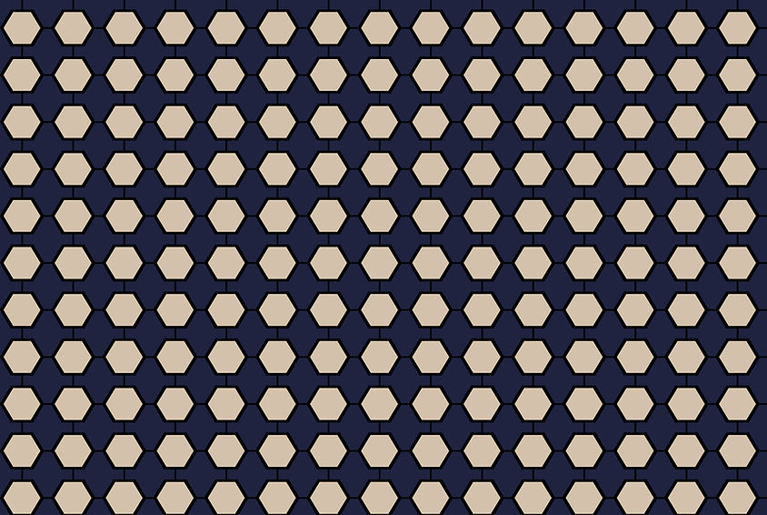 Magnolia Geometric Navy and Beige