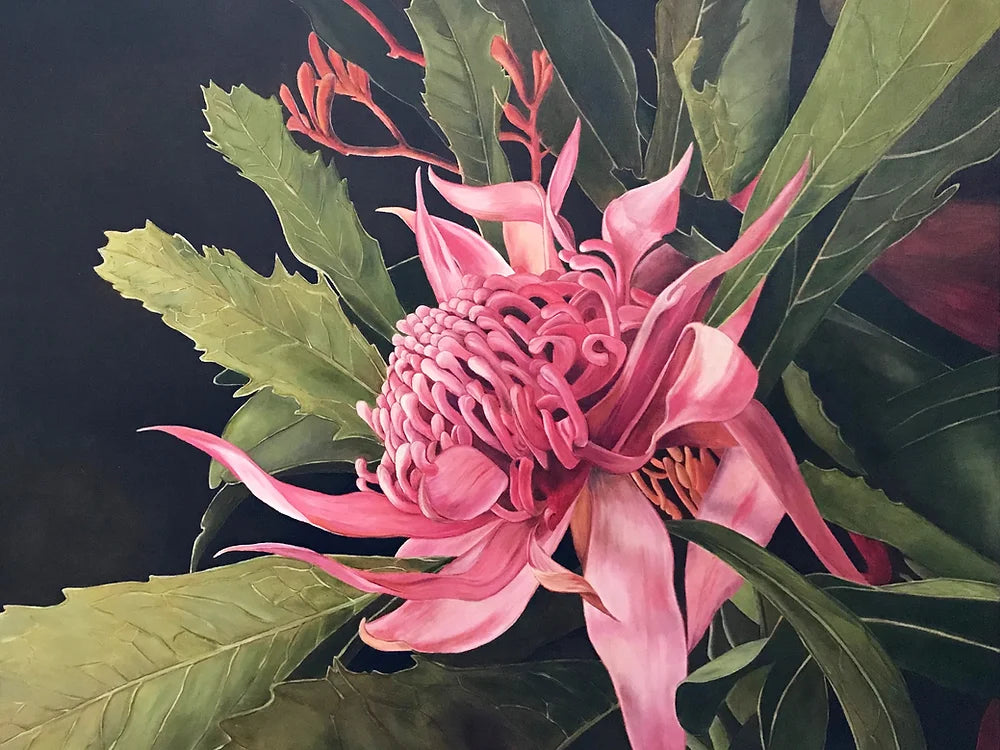 Pink Waratah