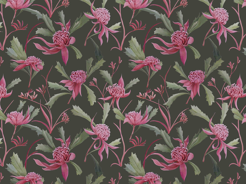 Waratah Olive