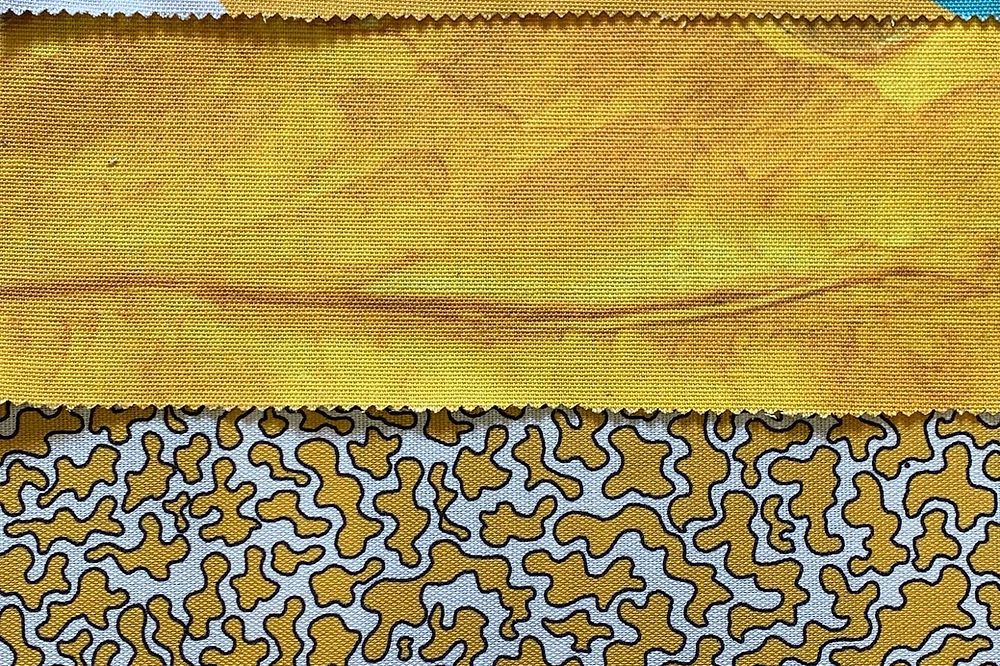 Antarctica Pearlwort Yellow and Whtie