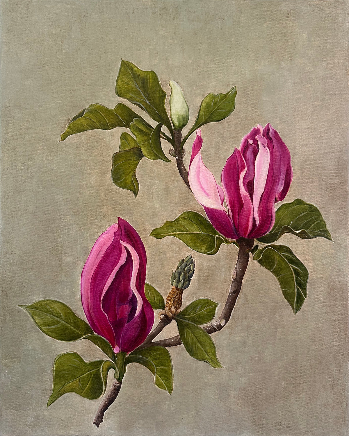 Pink Magnolia (Pair)