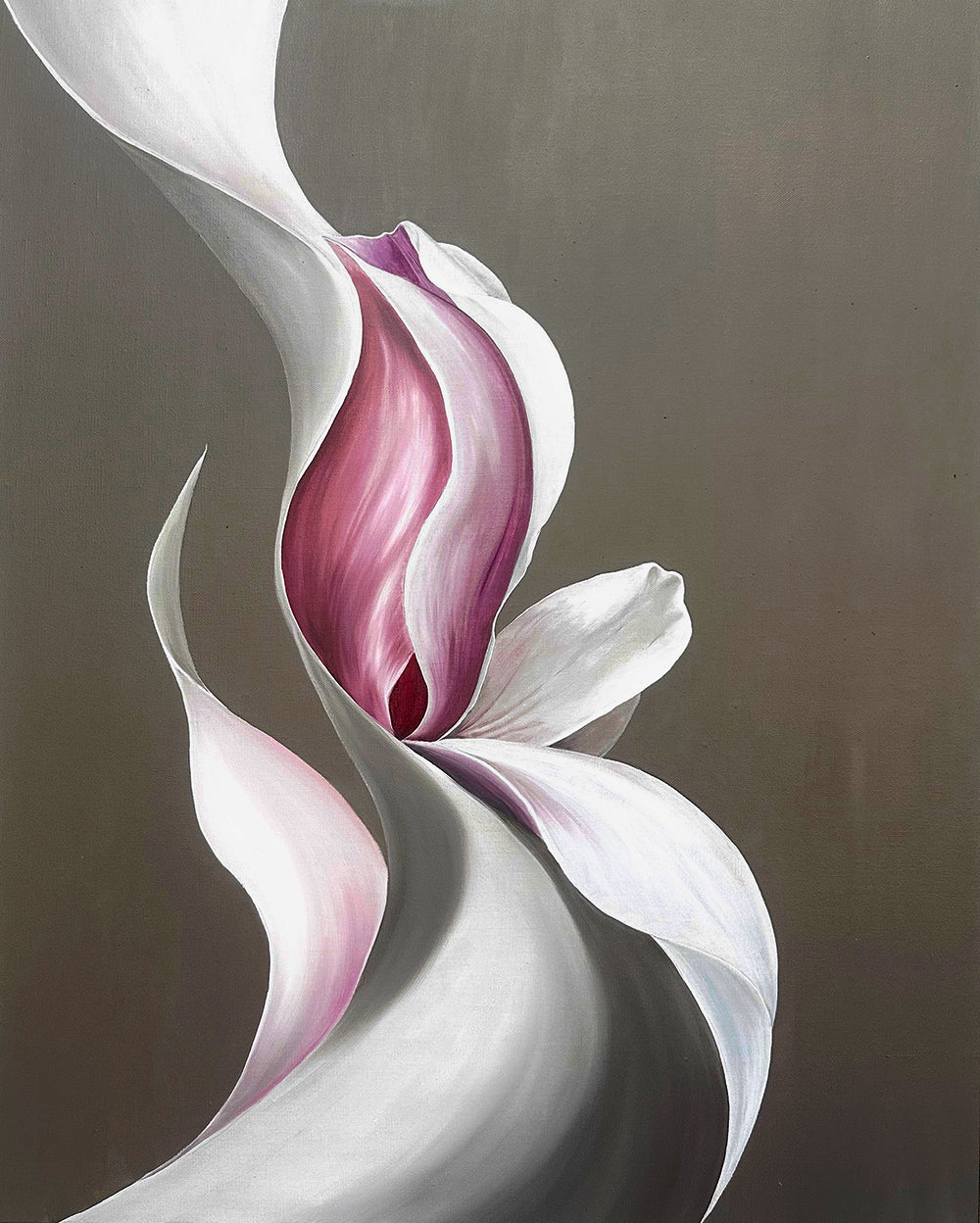 Pink Abstract Magnolia