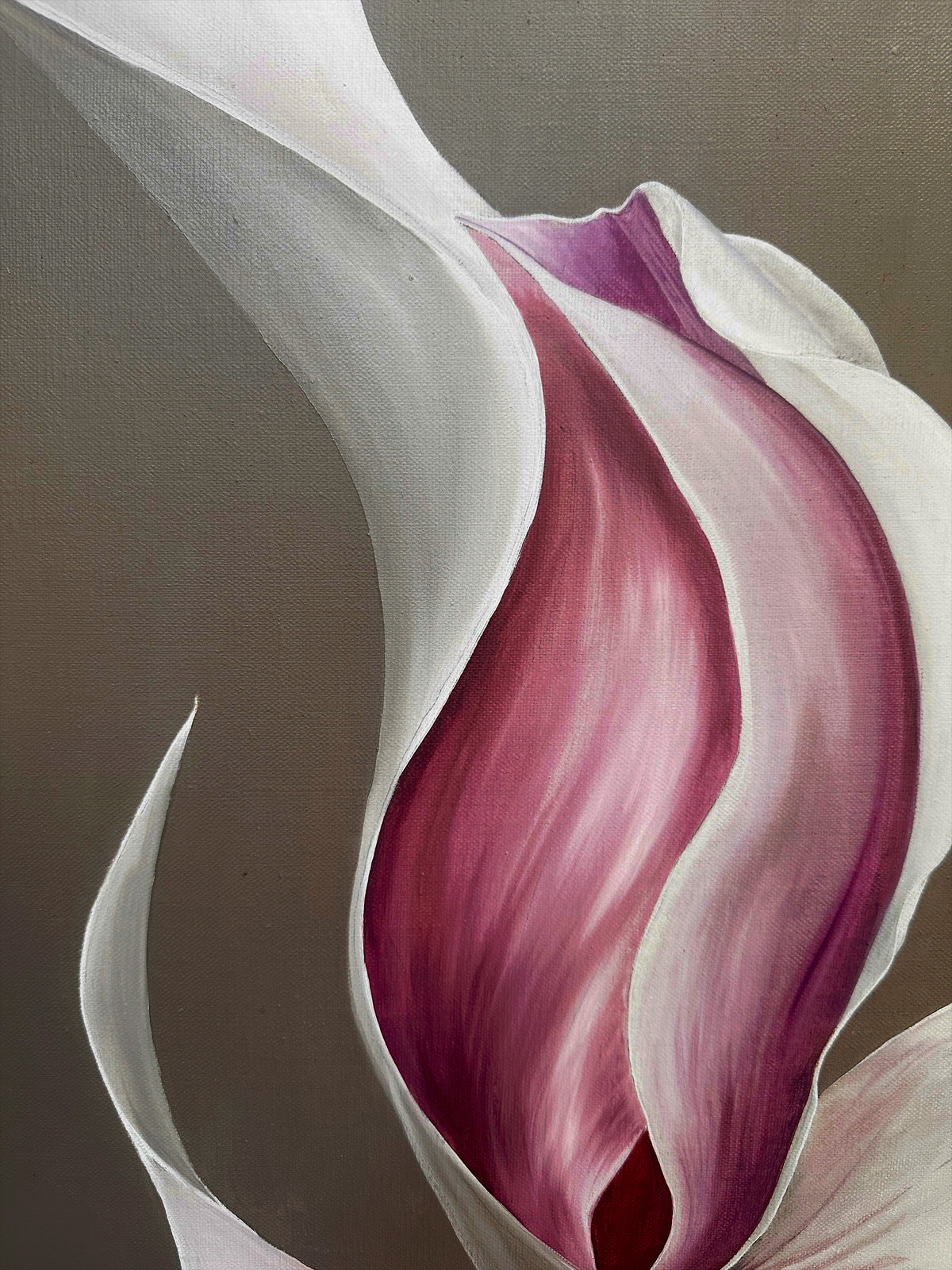 Pink Abstract Magnolia